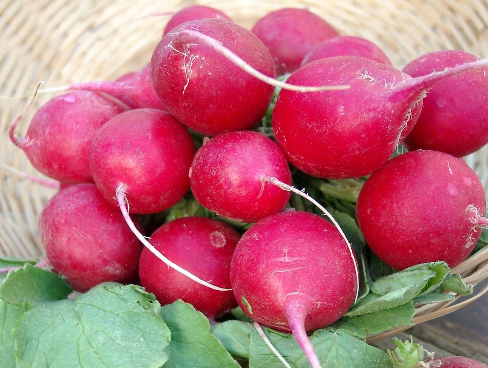 0506_stills_gemuese1015185 Radieschen geerntet, BKD