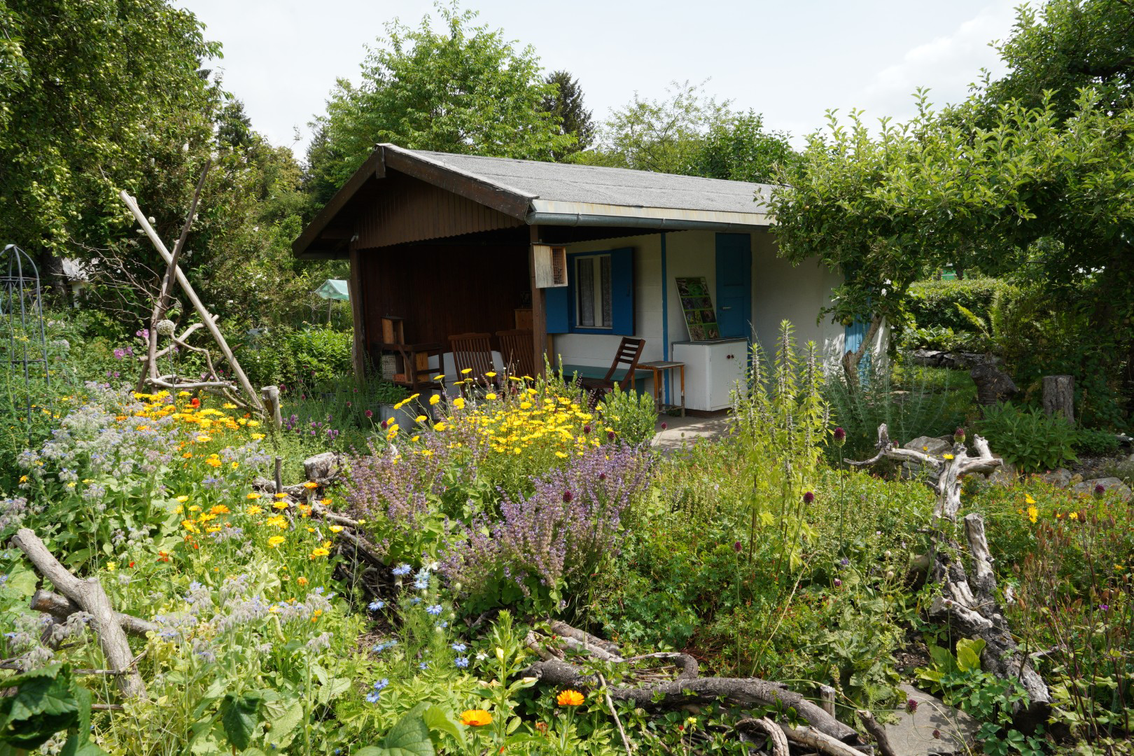 kleingarten-gemuese-biodiversitaet-bkd (4) Kopie