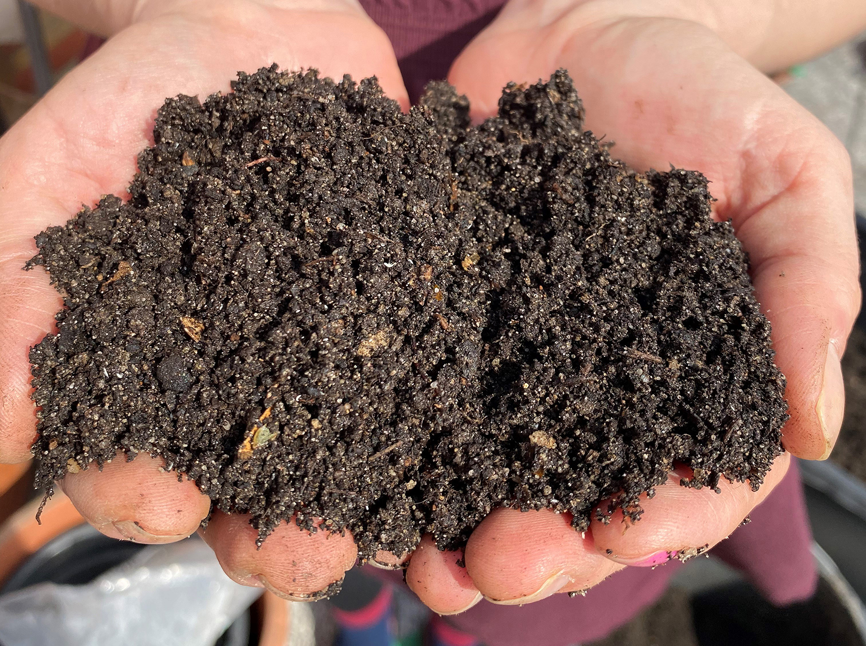 Kompost in der Hand_SvR kl