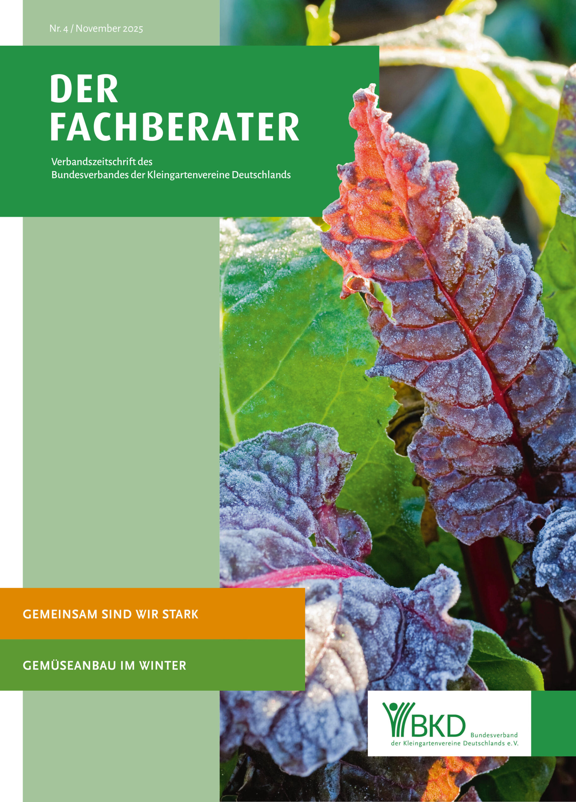 Titel_Der_Fachberater_November 2025