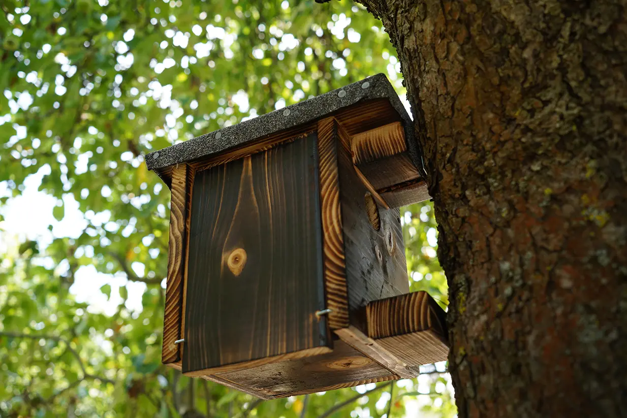 KGV_Krautgärten_KR_166 kl