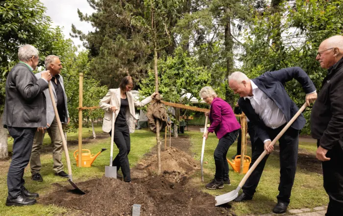 Ein Zukunftsbaum wird gemeinsam gepflanzt. Foto: C. Neupert, Alle Rechte LNG